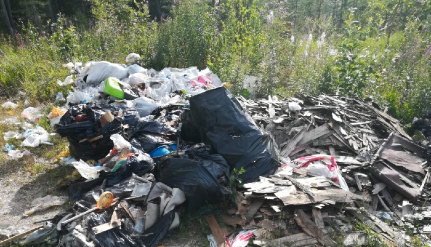 Dabā izgāzti atkritumi