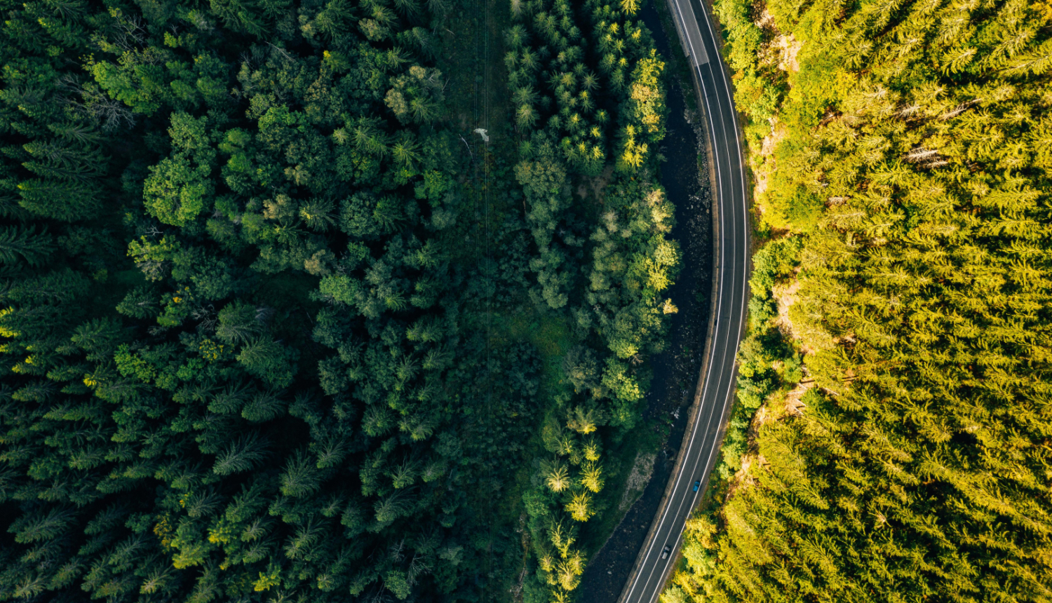 Dabas skats no putna lidojuma