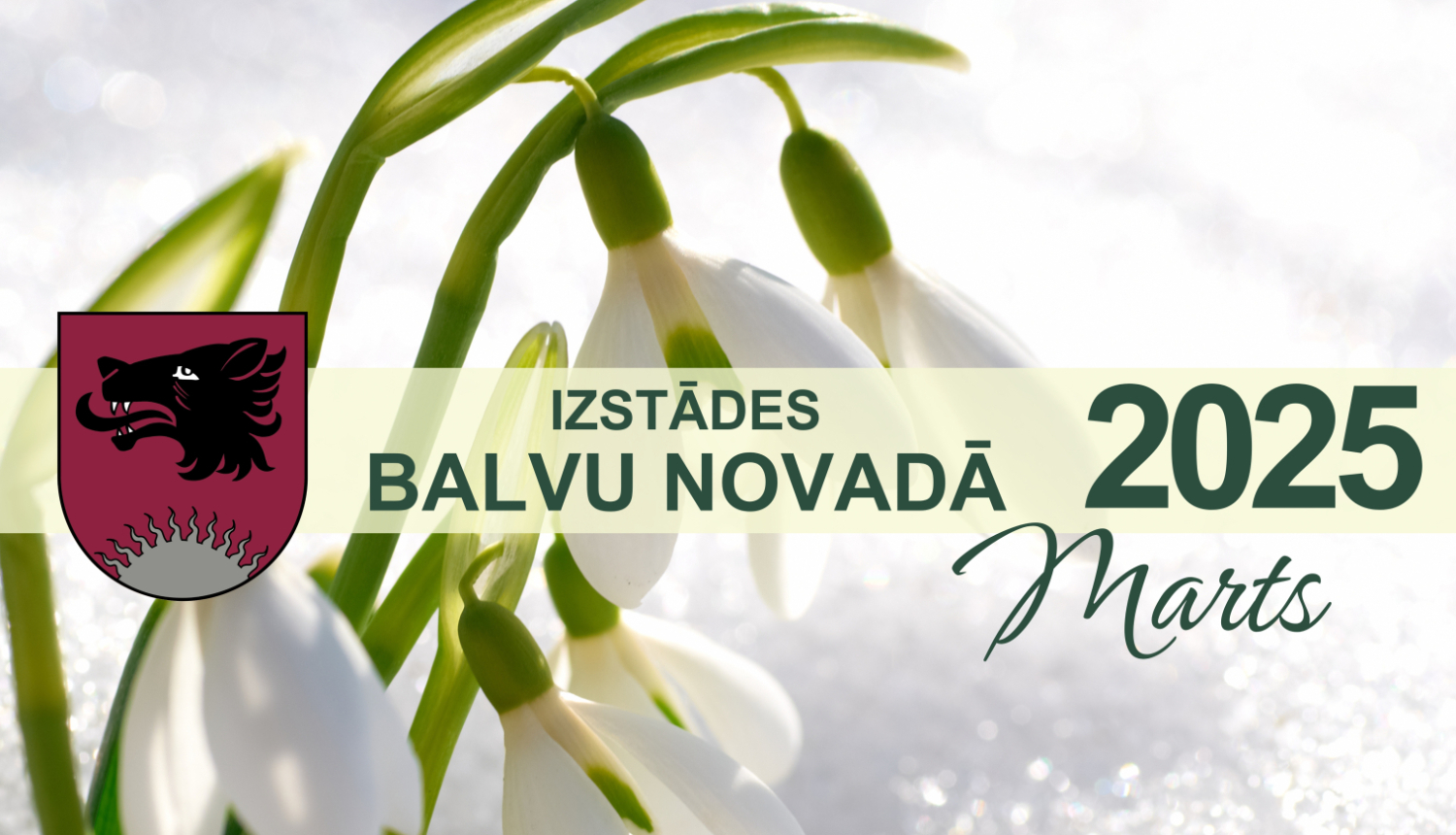 Izstādes Balvu novadā| FEBRUĀRIS