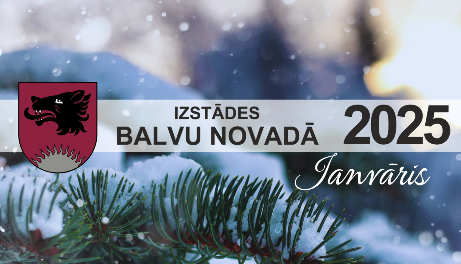 Izstādes Balvu novadā| JANVĀRIS