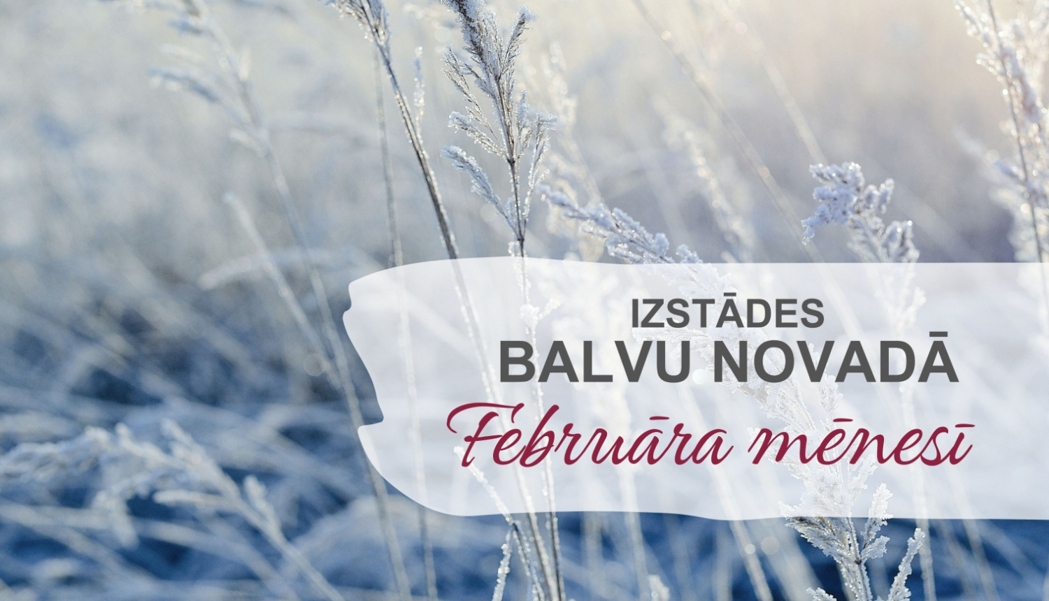 AFIŠA_Izstādes Balvu novadā| FEBRUĀRIS