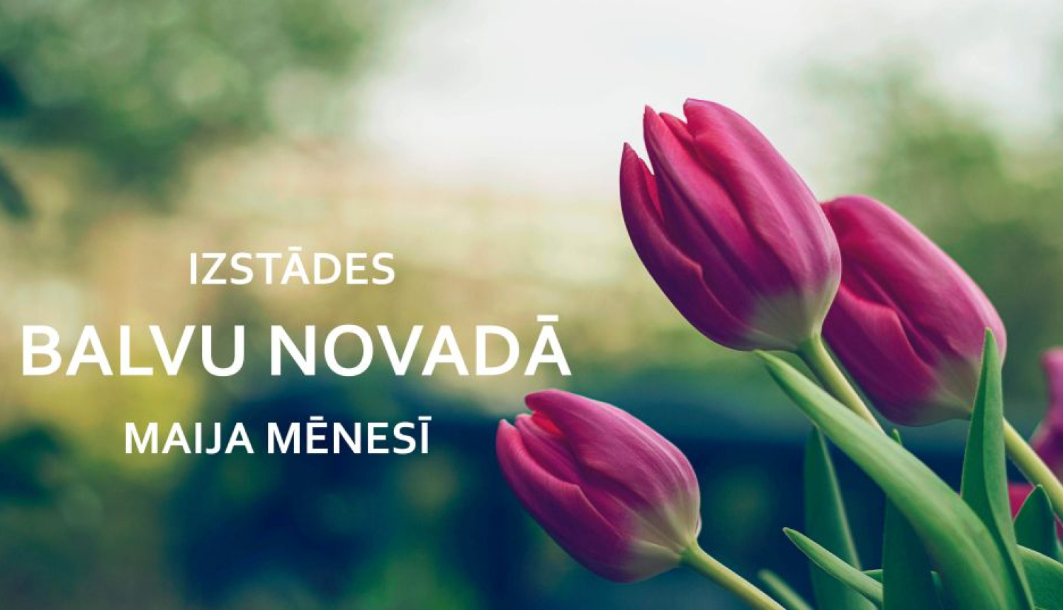 Izstādes Balvu novadā maija mēnesī