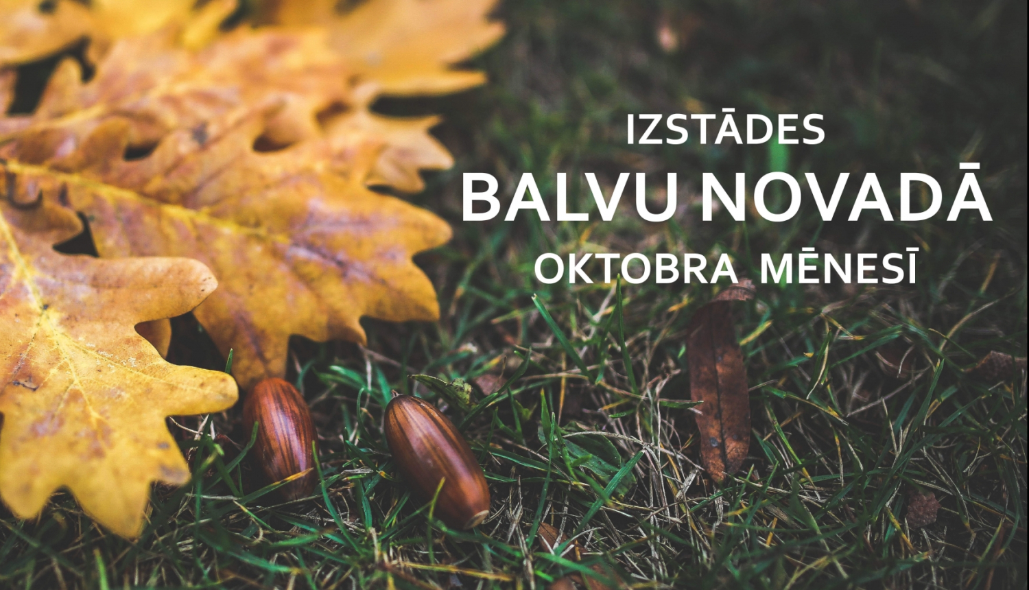 Izstādes Balvu novadā 