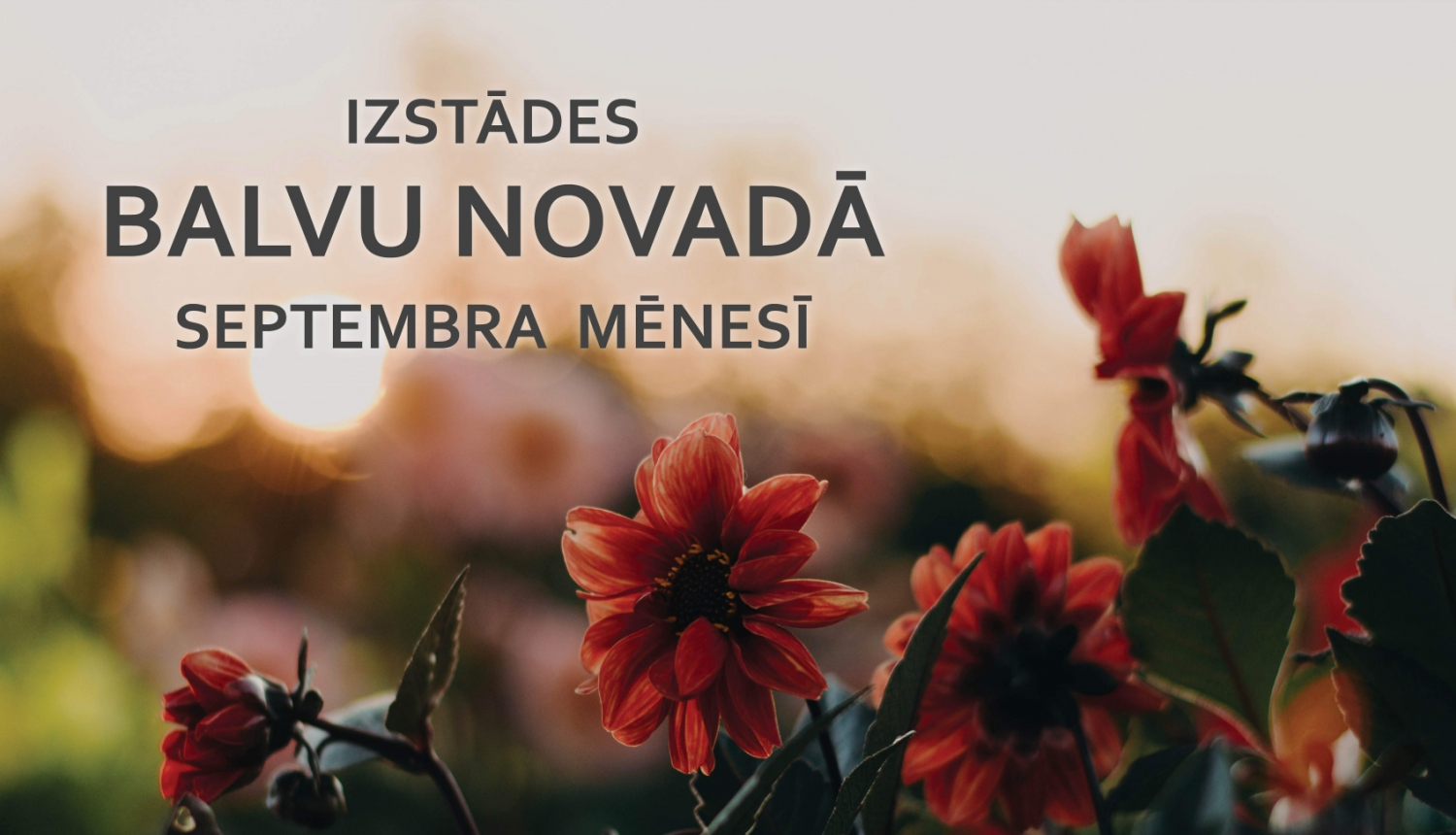 Balvu novada izstādes