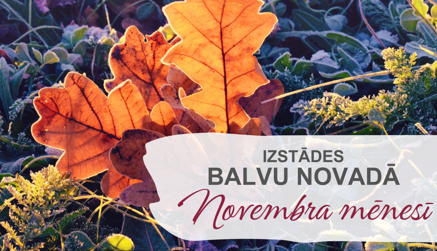 Izstādes Balvu novadā 