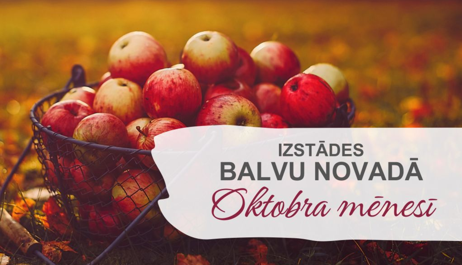 Izstādes Balvu novadā| OKTOBRIS