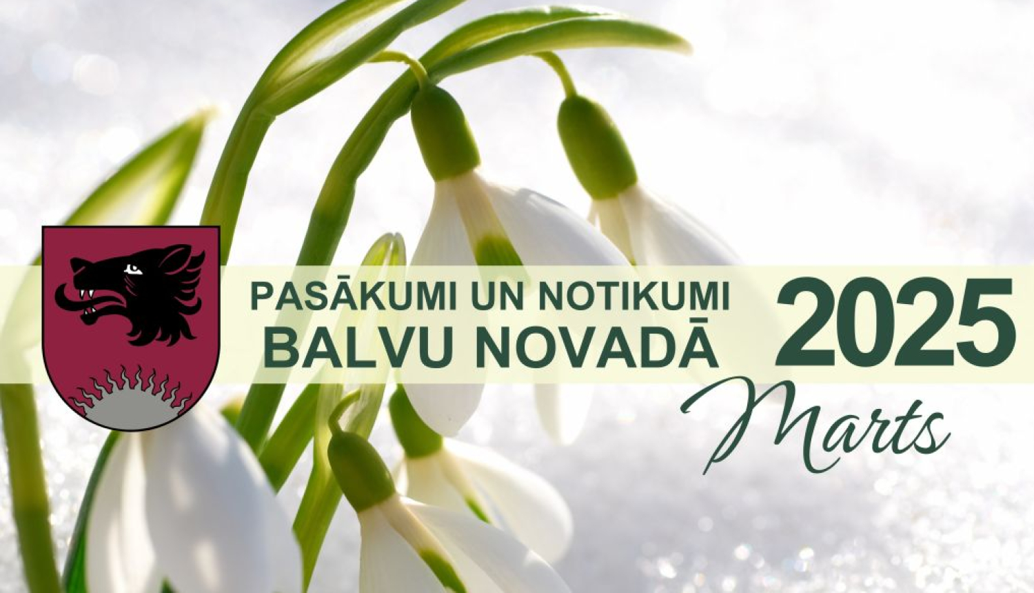 Balvu novada kultūras pasākumu plāns - 2025. gada marts