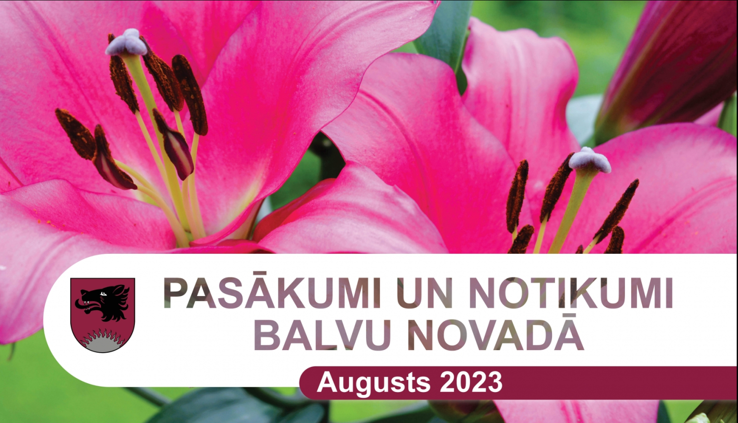 Balvu novada kultūras pasākumu plāns