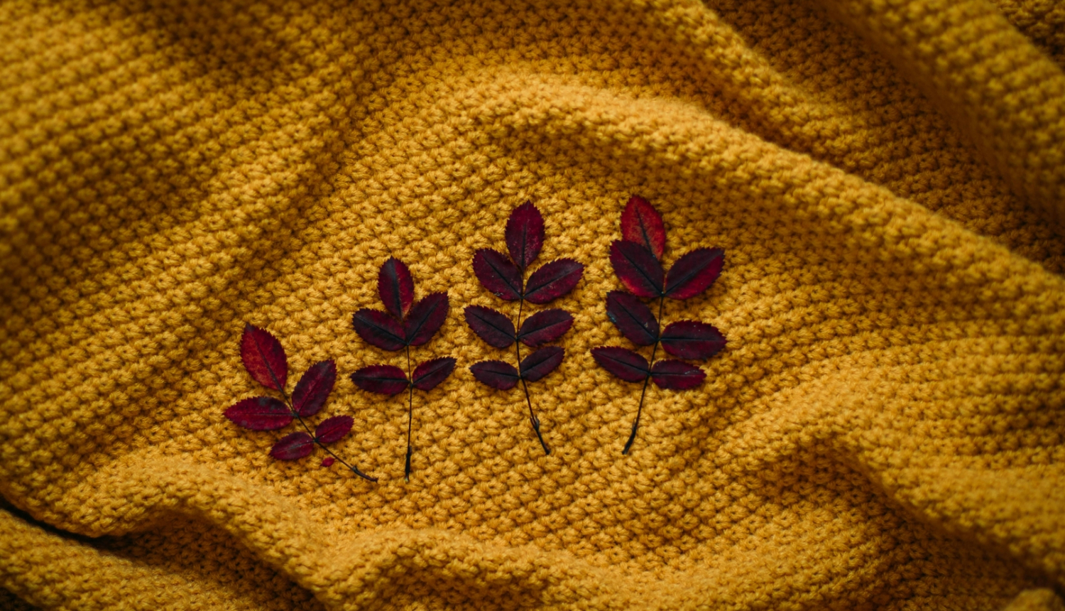 Atpūtas pasākums senioriem