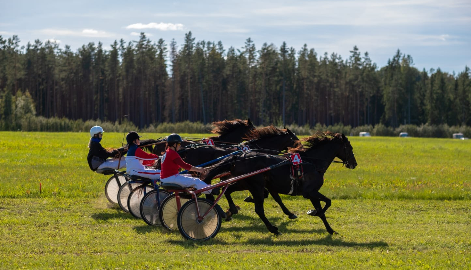 AFIŠA_Rikšotāju zirgu sacensības