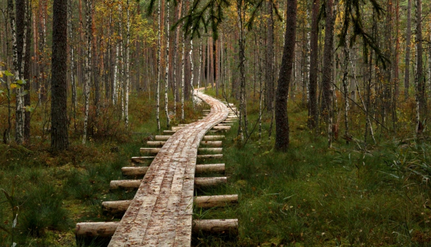 Stompaku nacionālo partizānu nometne