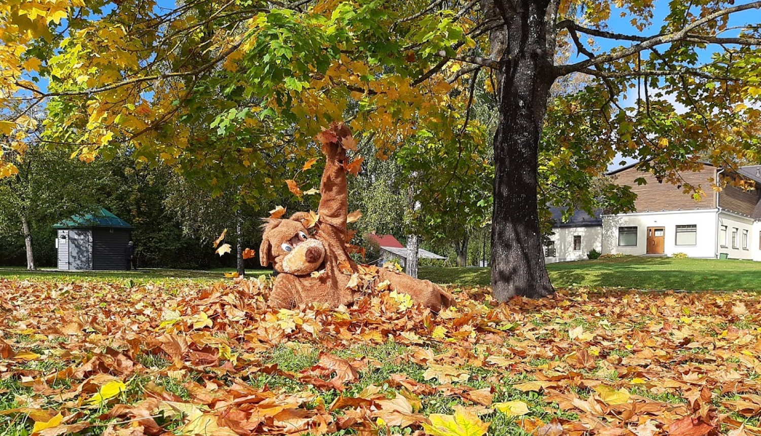 Sveiciens vingrotajiem