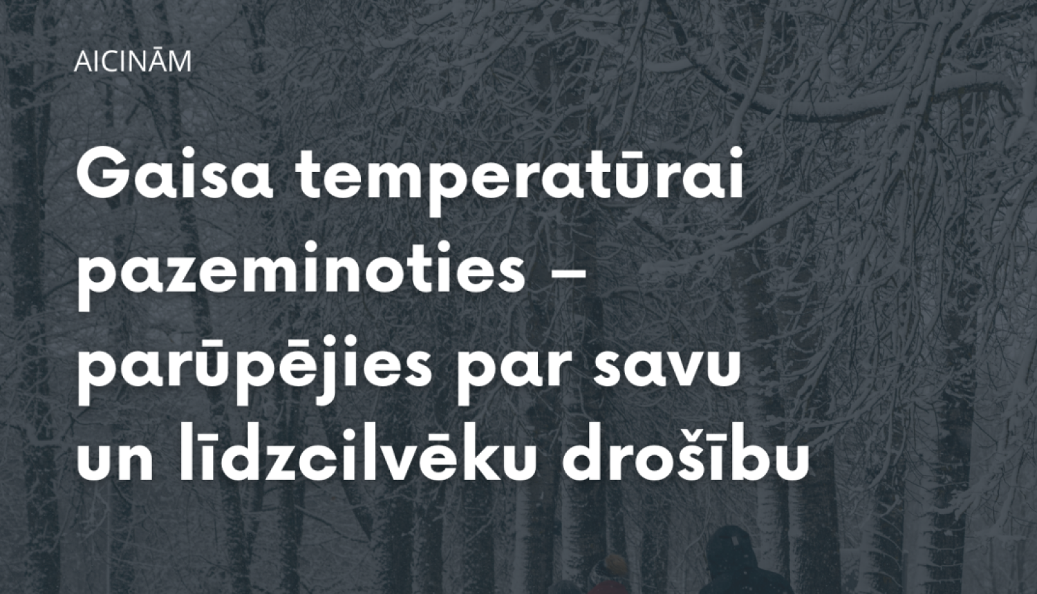 Sniegota janvāra diena Balvu pilsētā