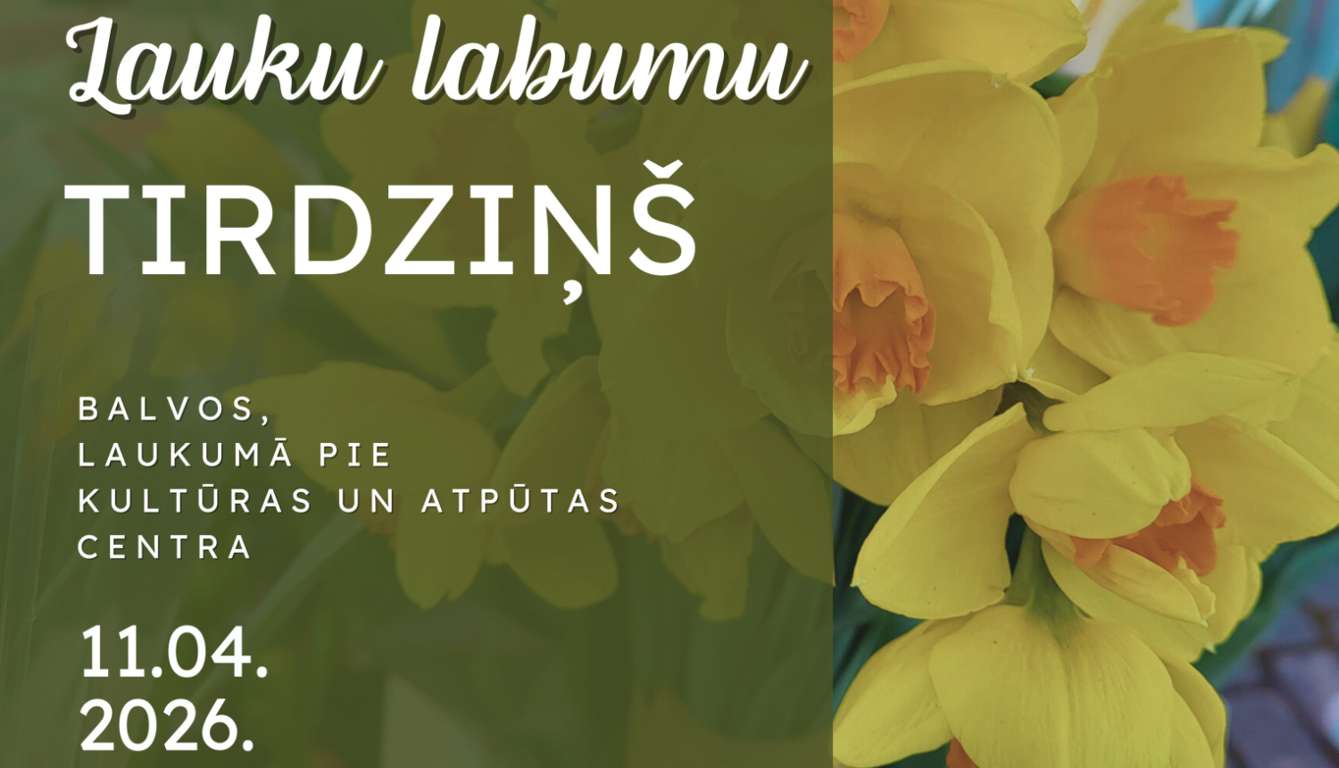 Afiša ar dzelteniem narcišu ziediem labajā pusē. Kreisajā pusē uz zaļgana fona rakstīts: “Lauku labumu tirdziņš”. Zemāk teksts: “Balvos, laukumā pie kultūras un atpūtas centra”. Norādīts datums: 11.04.2026.
