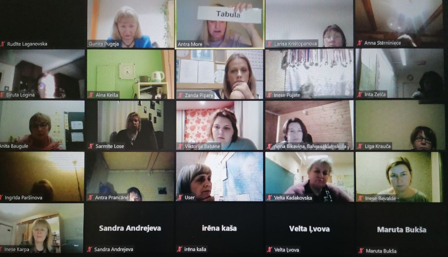 Pedagogu profesionālās kompetences pilnveides programma "Tekstpratības attīstīšana pamatizglītības 1.-3.klasē"