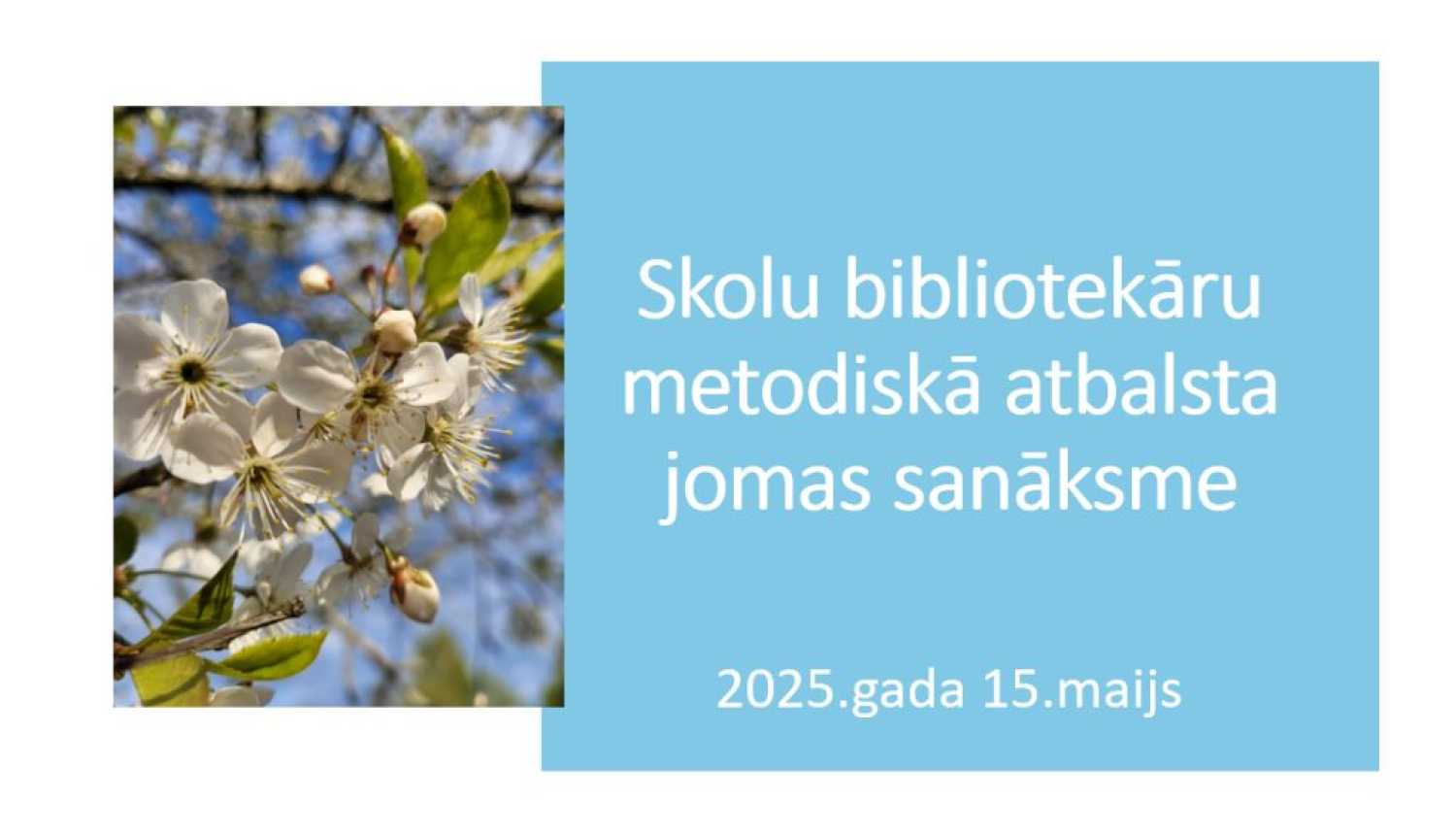 Balvu novada skolu bibliotekāri tiekas tiešsaistē sanāksmē