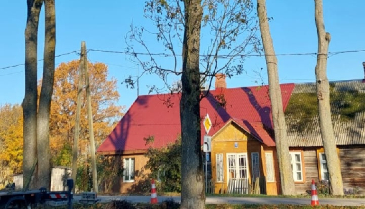 Izzāģē kokus, lai mazinātu krauķu izplatību