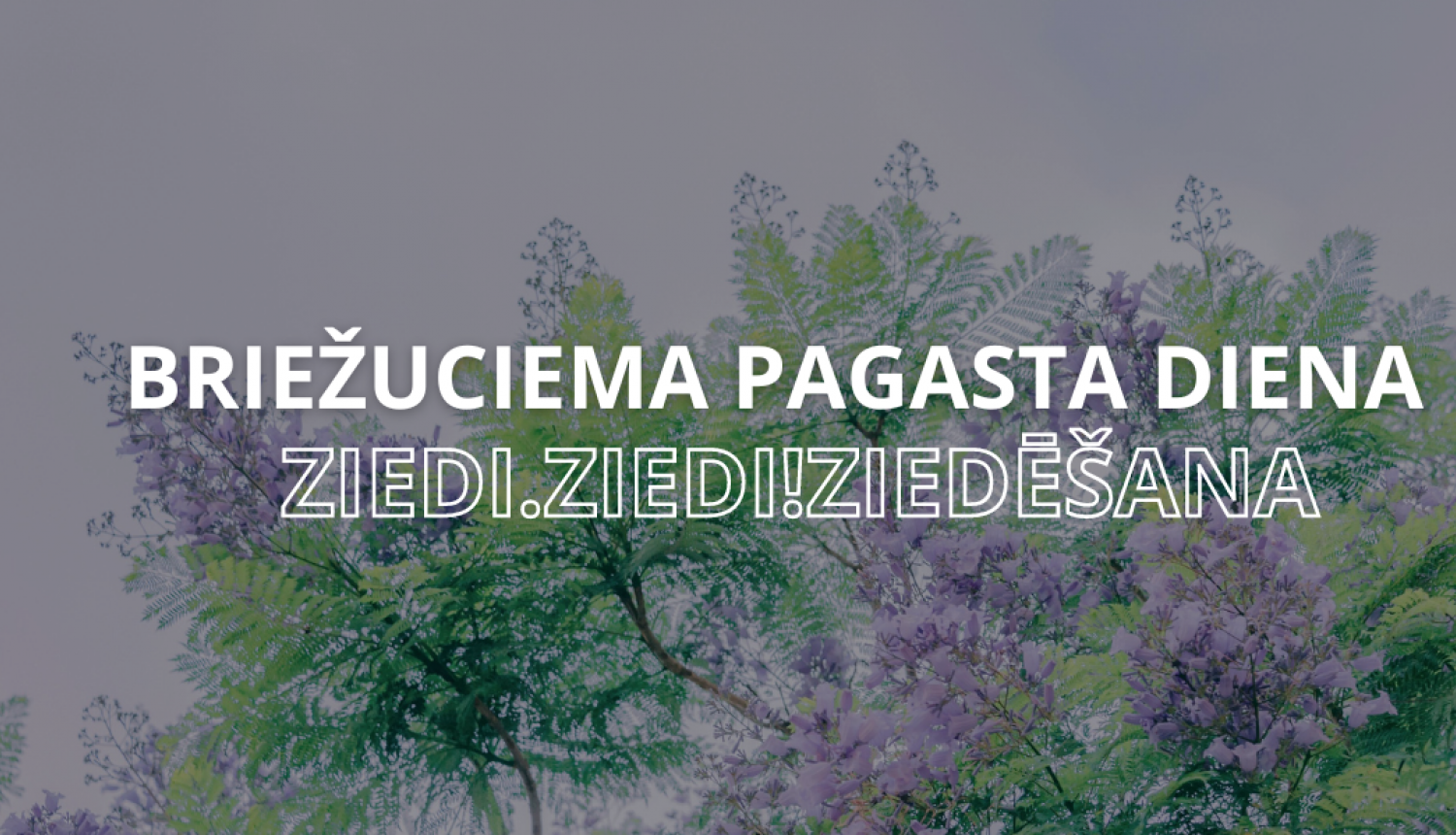 Briežuciema pagasta diena "Ziedi.Ziedi! Ziedēšana''