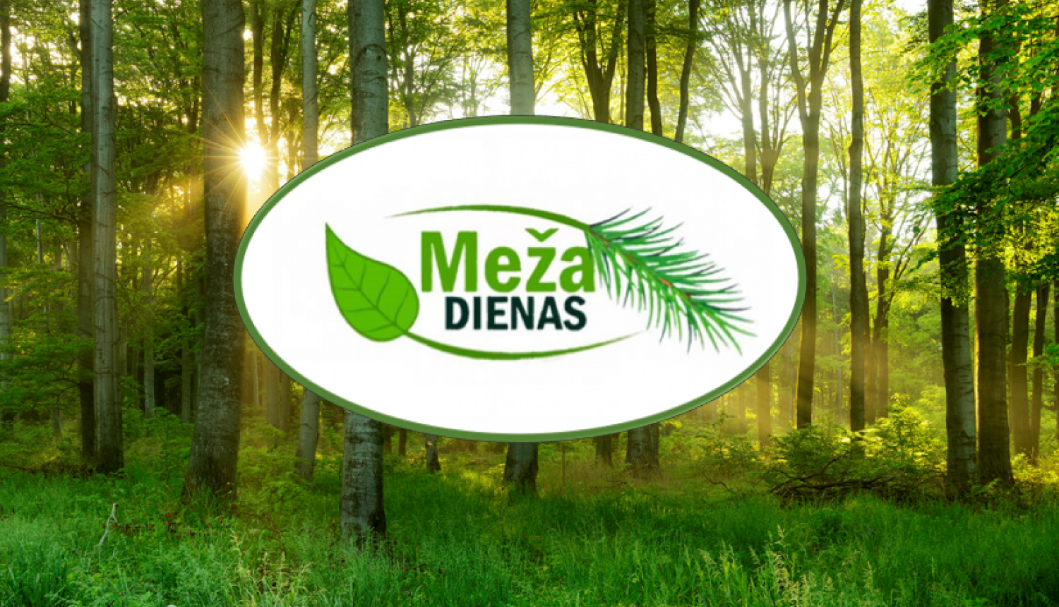 26. septembrī aicina piedalīties "Meža dienu 2023" seminārā Balvos 