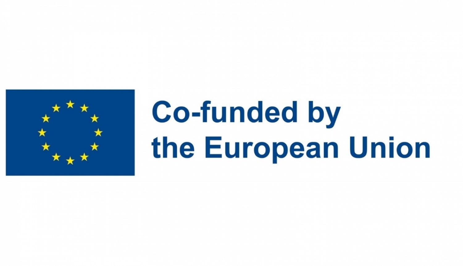 co-funded by the european union