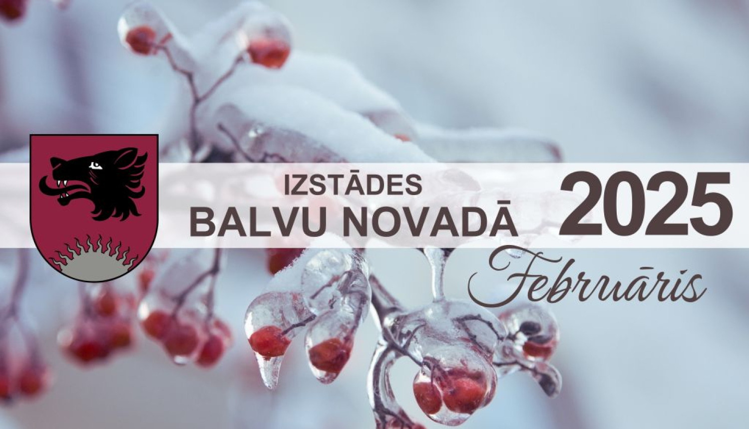 Izstādes Balvu novadā| FEBRUĀRIS