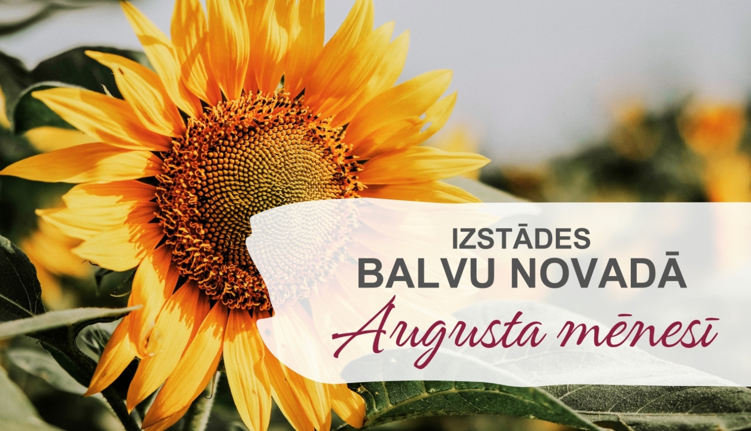 Izstādes Balvu novadā| AUGUSTS