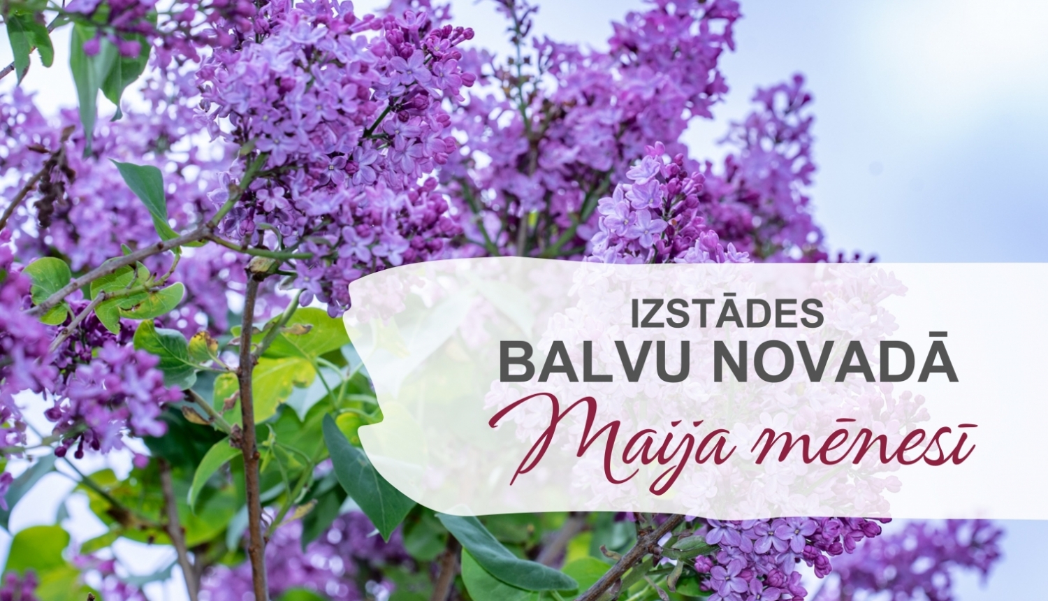 Izstādes Balvu novadā