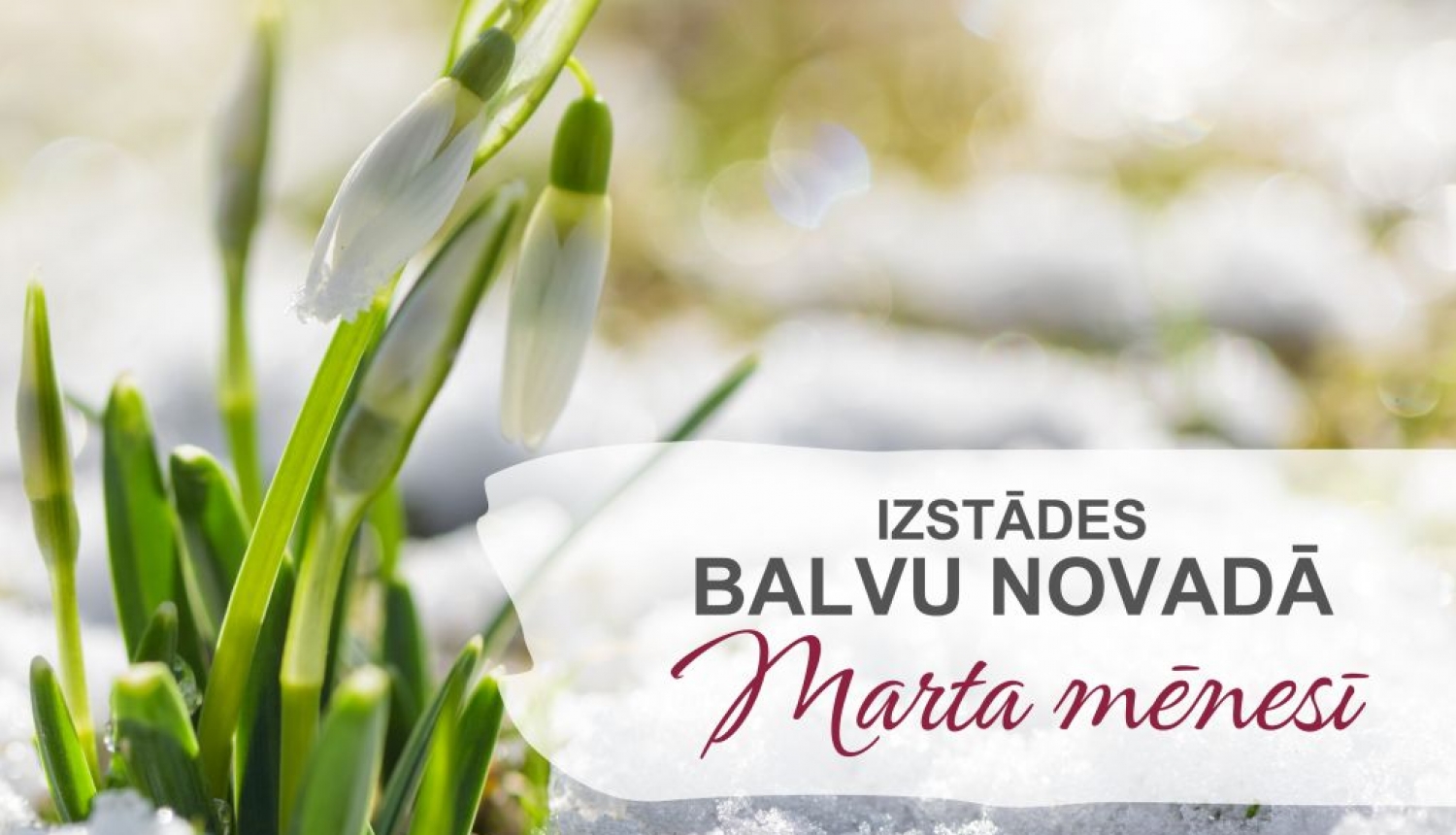 Izstādes Balvu novadā| MARTS