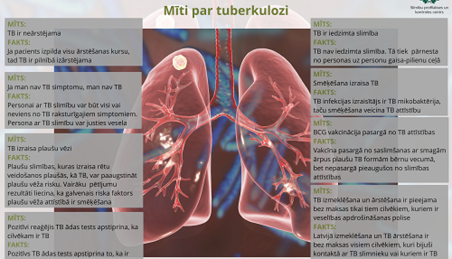 Attēls ar palušām